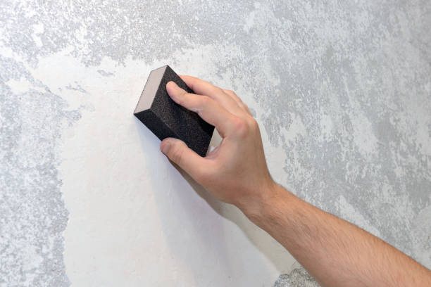 Best Commercial Mold Inspection  in Mayville, NY