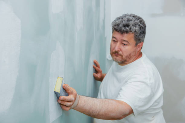  Mayville, NY Mold Removal Pros