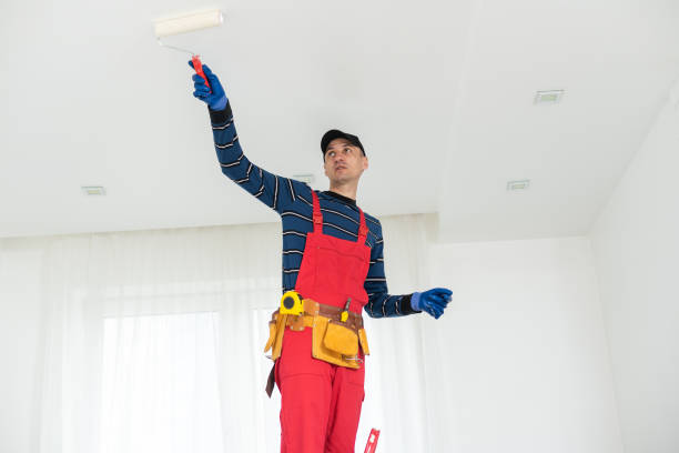 Mayville, NY Mold Removal Company