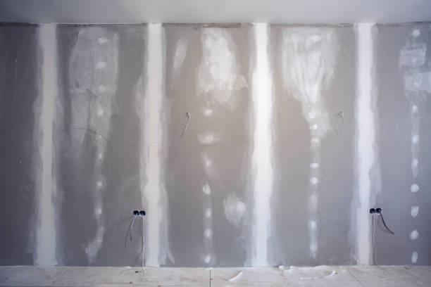 Best Water Damage & Mold Remediation  in Mayville, NY